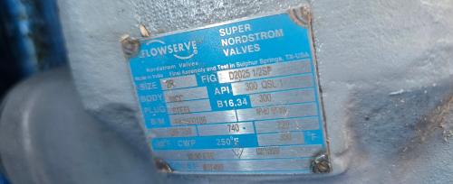 Flowserve Super Nordstrom D2025 1/2SP Plug Valve Class 300 API QSL-1 - Image 2