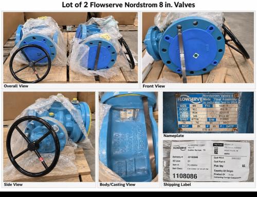 Lot of 2 Flowserve Nordstrom 8" Manual Geared Valves &ndash; Class 300 - Image 1