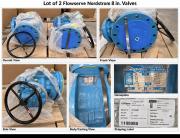 Lot of 2 Flowserve Nordstrom 8" Manual Geared Valves &ndash; Class 300