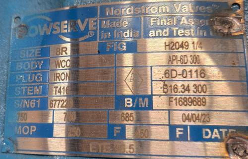 Lot of 2 Flowserve Nordstrom 8" Manual Geared Valves &ndash; Class 300 - Image 4