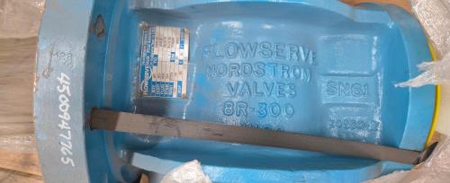 Lot of 2 Flowserve Nordstrom 8" Manual Geared Valves &ndash; Class 300 - Image 5